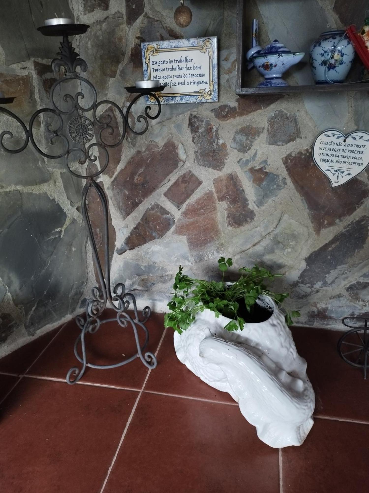 A Casa Da Fonte Villa Alviobeira Dış mekan fotoğraf