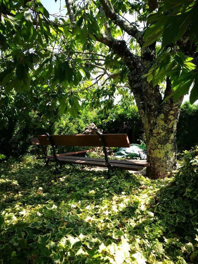 A Casa Da Fonte Villa Alviobeira Dış mekan fotoğraf