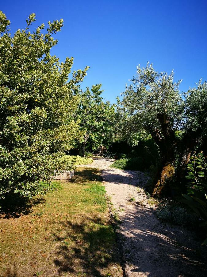 A Casa Da Fonte Villa Alviobeira Dış mekan fotoğraf