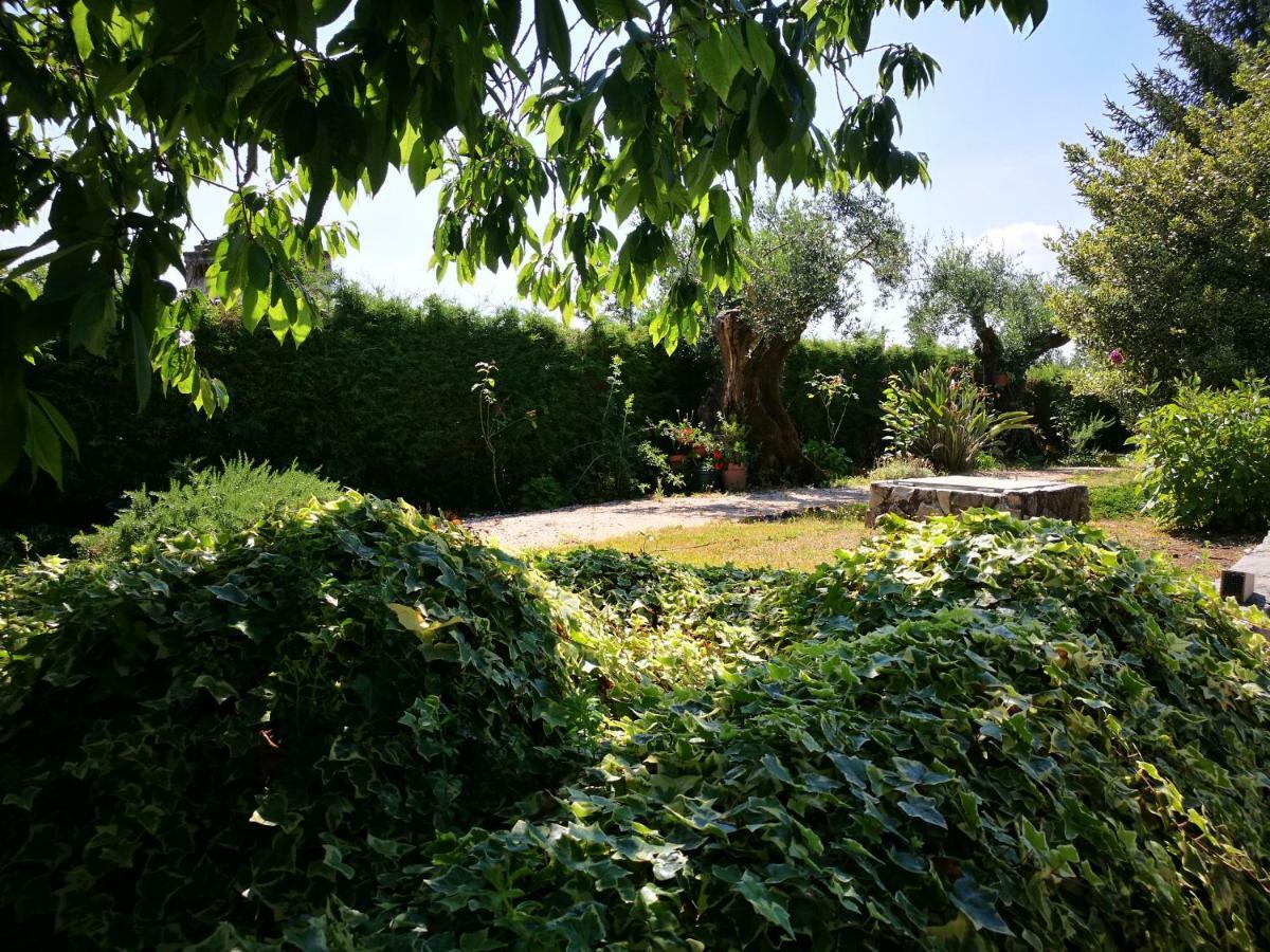 A Casa Da Fonte Villa Alviobeira Dış mekan fotoğraf